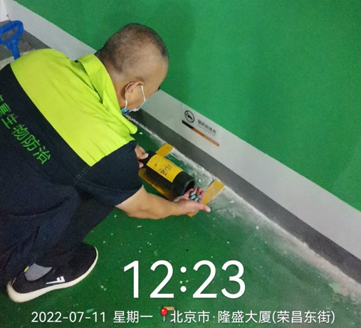 北京灭蚊蝇最有用的要领是什么？？北京消杀公司教你怎么做！