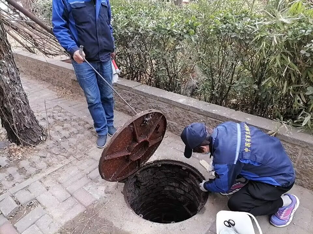 月坛展览路灭蟑螂杀虫公司400-619-6022ca88北京快速上门除四害