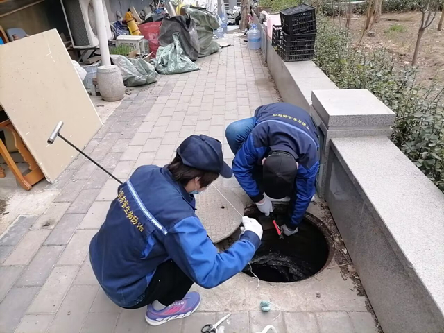 化学防治飞虫400-619-6022ca88五彩城消杀四害