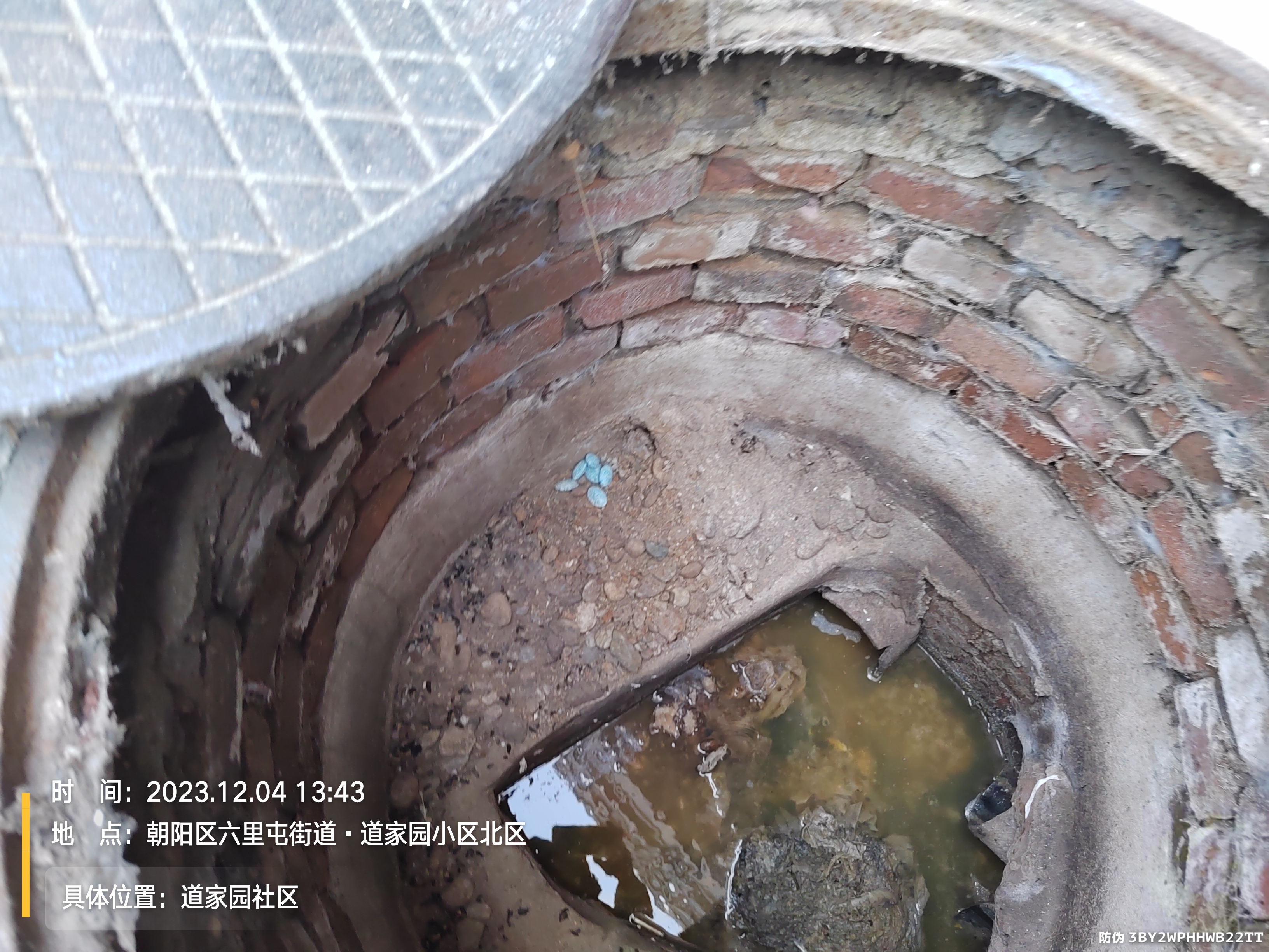 向阳区消杀公司  ca88北京除蟑螂