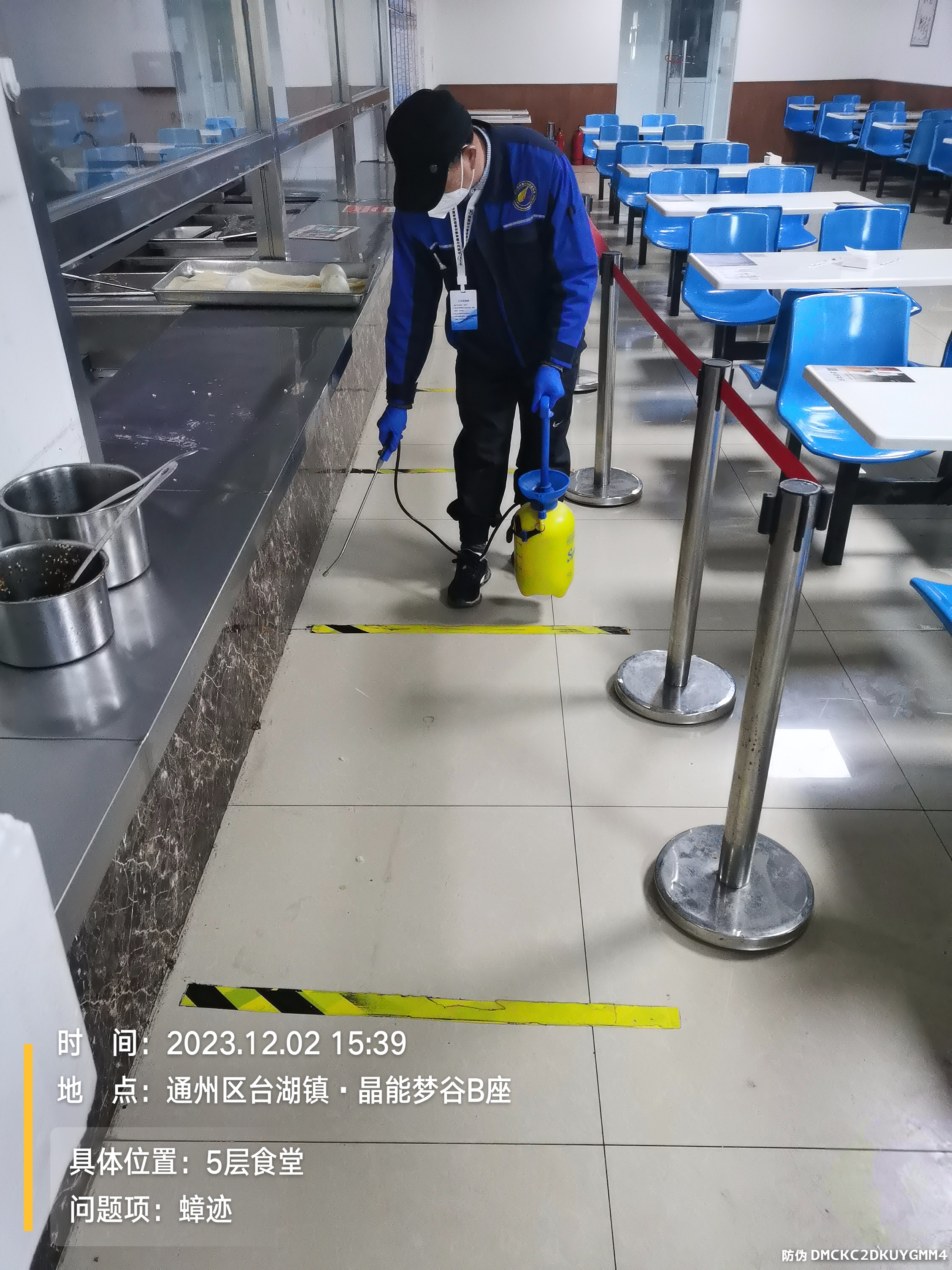 向阳区医院消杀厂家  ca88北京 将台地区灭蟑螂