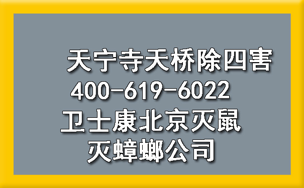 天宁寺天桥除四害400-619-6022ca88北京灭鼠灭蟑螂公司